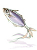 Amuleto Sardinha I