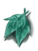 Folha de Aloe