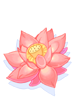 Flor Elegante