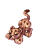 Filhote de Leopardo