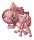 Sapo de Thara Fugaz