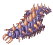 Larva de Centopeia