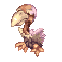 Condor