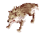 Lobo do Deserto