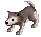 Filhote de Lobo Caçador