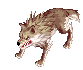 Lobo Caído
