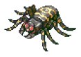 Aranha Gigante